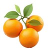 Логотип телеграм канала @savereports — Пригодится! 🍊 Исследования 2026