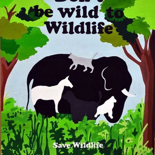 لوگوی کانال تلگرام savewild — Save the Wildlife