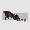Логотип телеграм канала @savitooi — Жизнь чихуа с авито и сатиновой дрт🐾
