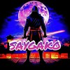 Логотип телеграм канала @saygake — Читы блэк раша/софт блэк раша