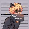 Логотип телеграм канала @saymiracle — Say Miracle | Леди Баг и Кот Нуар