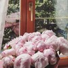 Логотип телеграм канала @saysdjeni — by.djeni