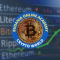 Logo saluran telegram sbocw — Sushant Budania official Crypto world
