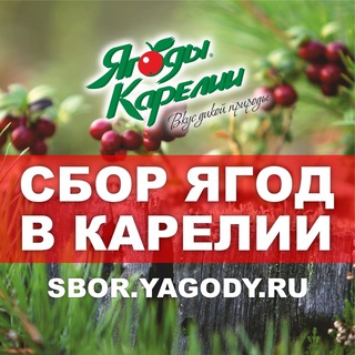 Логотип телеграм канала @sboryagodyru — SBOR.YAGODY.RU