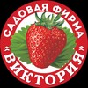 Логотип телеграм канала @sc_viktoriya — 🍓 «ВИКТОРИЯ» Садовый центр