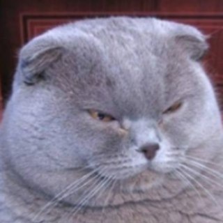 Логотип телеграм канала @scalabin — Scala bin