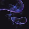 Логотип телеграм канала @scalaell — scālae