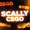 Логотип телеграм канала @scally_halava — CS:GO | SCALLY | РОЗЫГРЫШИ СКИНОВ