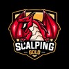 Logo of telegram channel scalpinggoldcom — Scalping Gold