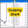 لوگوی کانال تلگرام scalpingsharkforex — Forex Scalping Shark🦈