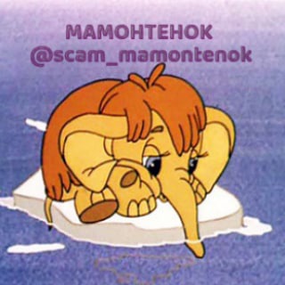 Логотип телеграм канала @scam_mamontenok — 🦣 Мамонтёнок