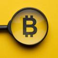 لوگوی کانال تلگرام scamcryptoooo — قناة فضح النصابين
