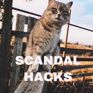 Логотип телеграм канала @scandalhacks — SCANDAL HACKS