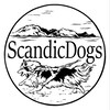 Логотип телеграм канала @scandicdogs — ScandicDogs | Амуниция Non-Stop Dogwear