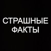 Логотип телеграм канала @scarystros — Страшные Факты