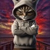 Telegram channel ScauHades poker channel logo