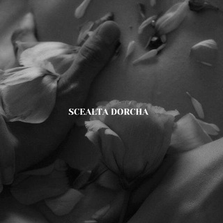 Логотип телеграм канала @scealta_dorcha — BBC69.com