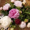 Логотип телеграм канала @scentaya — Таины обоняния