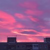 Логотип телеграм канала @sceryssik — Scerysik. Задания за деньги