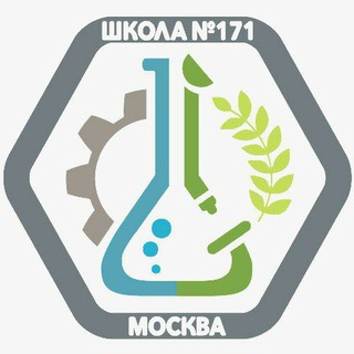Логотип телеграм канала @sch171 — Школа 171