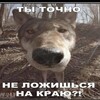Логотип телеграм канала @schalan31 — Анекдоты которые мне нравятся