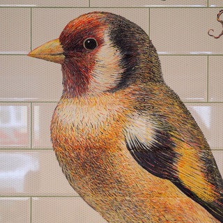 电报频道的标志 schegolcoffee — Schegolcoffee