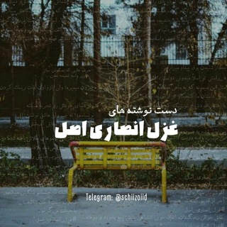 Лагатып тэлеграм-канала schiizoiid — اِسکیزوئید ॐ