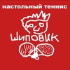 Логотип телеграм канала @schipovik — Записки Шиповика