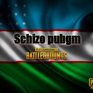 Логотип телеграм канала @schizopubgm — SCHIZO PUBGM