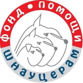 Логотип телеграм канала @schnauhelp — Фонд помощи шнауцерам