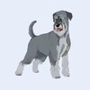 Логотип телеграм канала @schnauzers — Шнауцер: выбор и выращивание