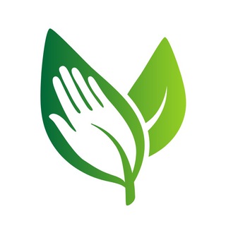 Logo des Telegrammkanals schoepferinsel - Schoepferinsel - Alternative Medizin, Bewusstsein & Naturheilkunde