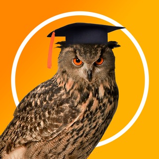 Логотип телеграм канала @school_textbook — Школьный учебник- учителям, педагогам