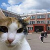 Логотип телеграм канала @school14loves — В 14 школе любят