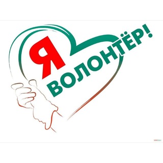 Логотип телеграм канала @school291hhhmon — Я - Волонтëр 🌍