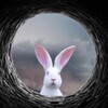 Логотип телеграм канала @schoolforadult — СЛЕДУЙ ЗА БЕЛЫМ КРОЛИКОМ◾️