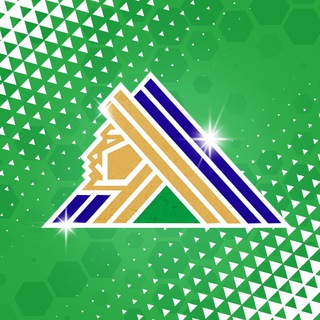 Логотип телеграм канала @schoolsalavat — СПОРТШКОЛА «САЛАВАТ ЮЛАЕВ»