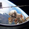 Логотип телеграм канала @science_techno_progress — Наука и технологии 🐼