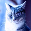 Логотип телеграм канала @scienceandtechnic05 — ТехноНаука