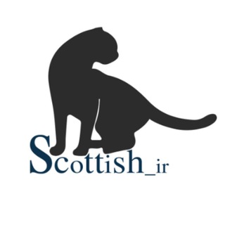 لوگوی کانال تلگرام scottish_2017 — 🐾Scottish_ir 🐾