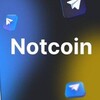 Логотип телеграм канала @scupnotcoina — Скупка продажа notcoin