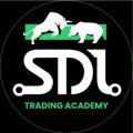 Logo saluran telegram sdltradingacademy — SDL Trading Academy - free trading group