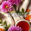 Логотип телеграм канала @sdobrymytrom — Картинки и видео-Доброе утро🔥 Красота в глазах смотрящего 😍