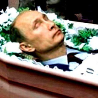 Логотип телеграм канала @sdohliputin — сдох ли путин?