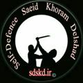 Logo saluran telegram sdskdir — دفاع شخصی-استاد سعید خرّم دلشاد