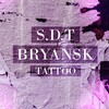 Логотип телеграм канала @sdttattoo — SDT / VICTIM