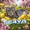 Логотип телеграм канала @se4yaso2 — Se4ya | SO2