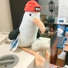 Логотип телеграм канала @seagull_with_potato — чайка с картошкой🐦🥔