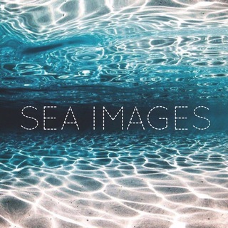 Logo del canale telegramma seaimages - 🌊 Sea Images™️ 🌊