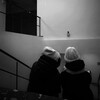 Логотип телеграм канала @seals_110 — ФОТОБАТАЛ